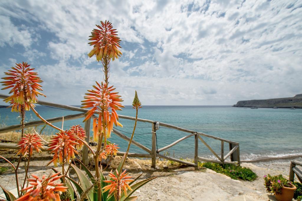 Coral Front Beach Káto Zákros 객실 사진